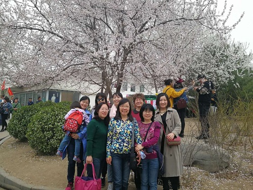 澳门银河网上赌场