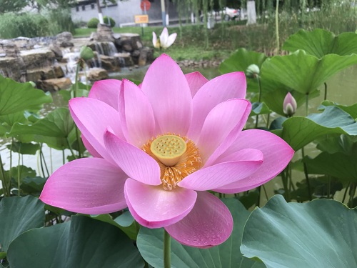 澳门银河网上赌场